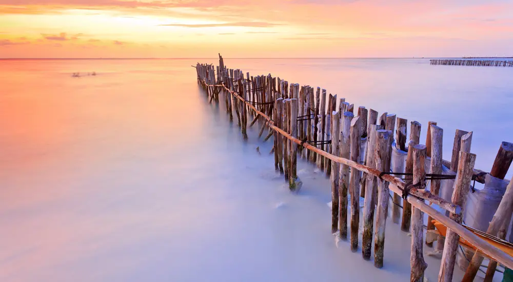 Integer laoreet, nisi a tincidunt tincidunt, odio