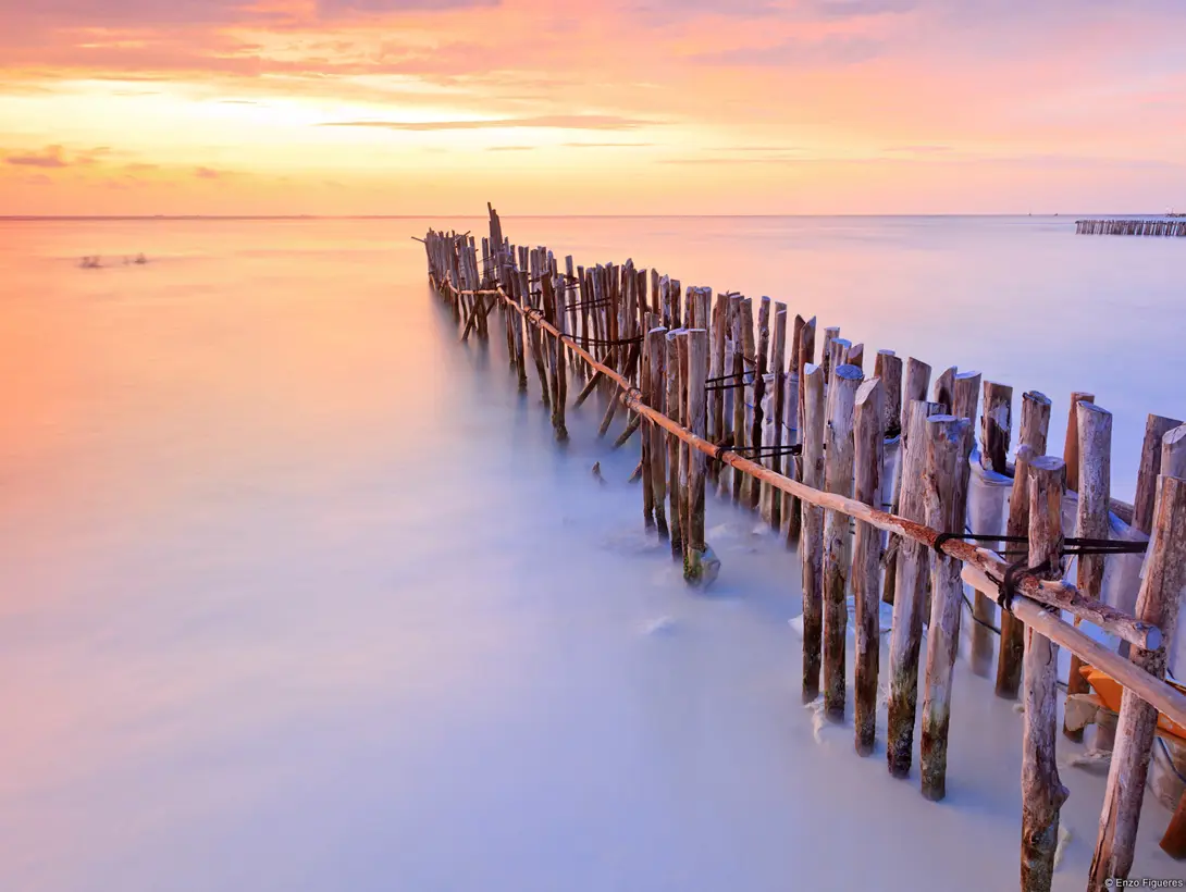 Integer laoreet, nisi a tincidunt tincidunt, odio