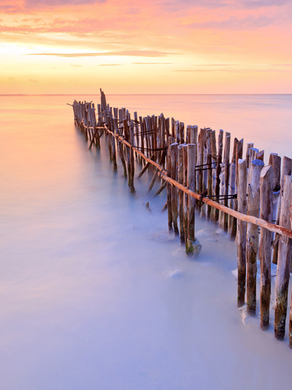 Integer laoreet, nisi a tincidunt tincidunt, odio