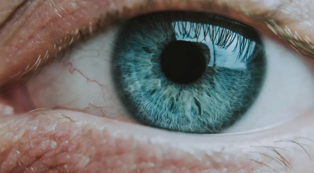 Grønt øye pexels-lilartsy