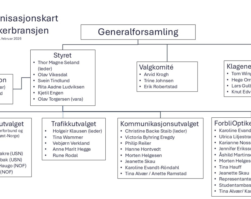 Organisasjonskart_nettside.jpg