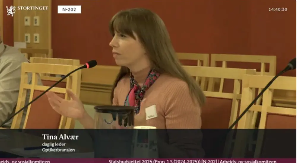 Høring stortinget 2024.jpg